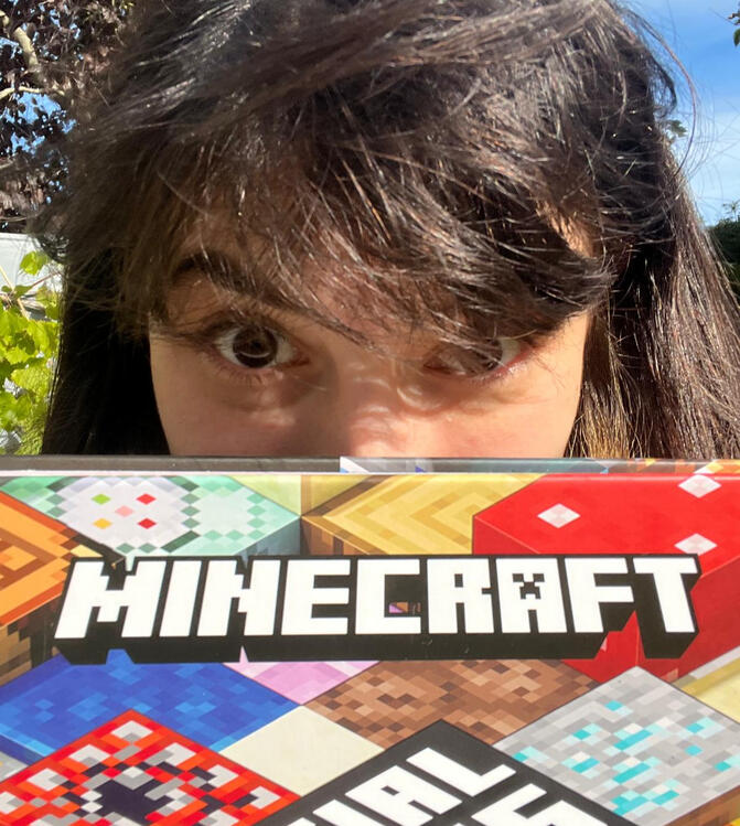 Minecraft